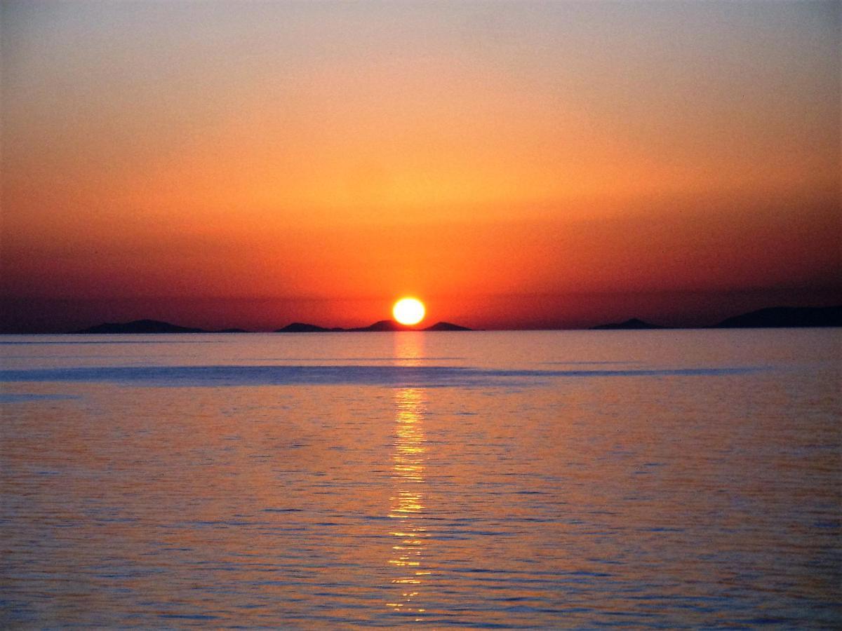 Alba Stupendo Appartamento In Villa Fronte Mare - Golfo Dell'Asinara - Internet Free Valledoria  Ngoại thất bức ảnh