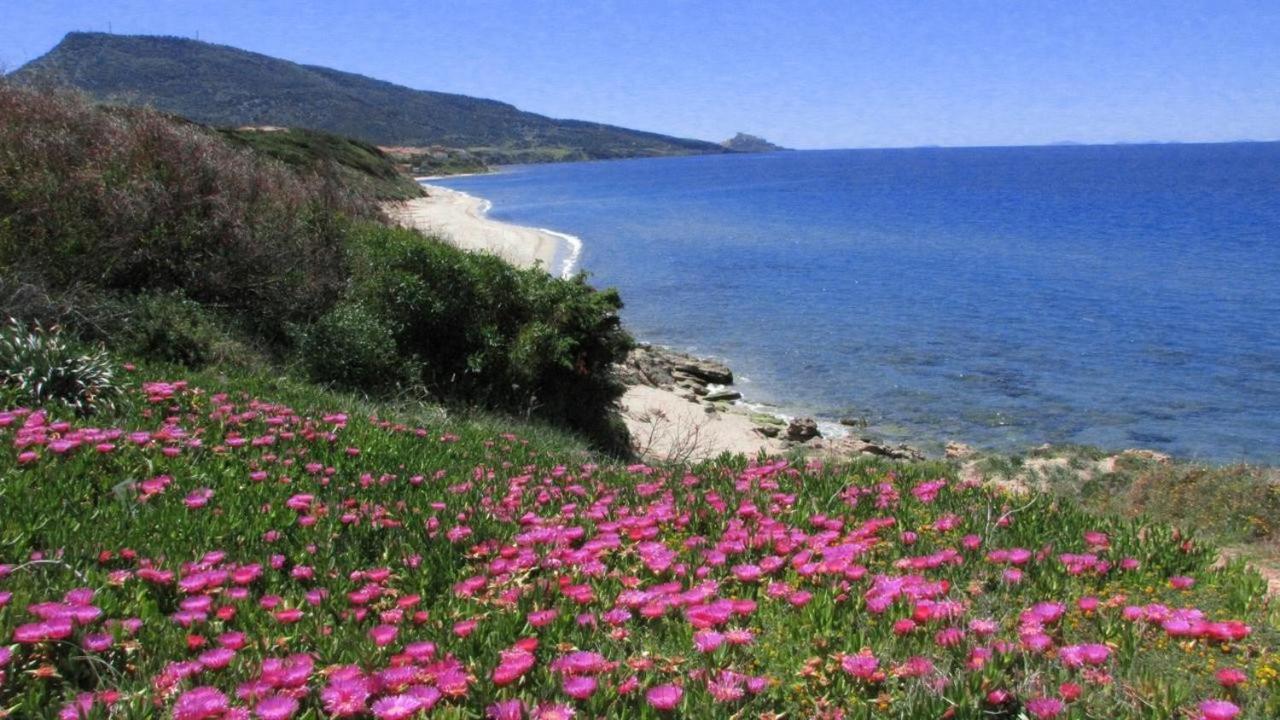 Alba Stupendo Appartamento In Villa Fronte Mare - Golfo Dell'Asinara - Internet Free Valledoria  Ngoại thất bức ảnh